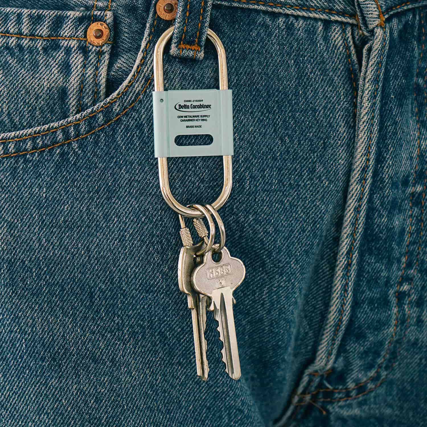 Supreme CDW Delta Carabiner Silver - SS24 - US