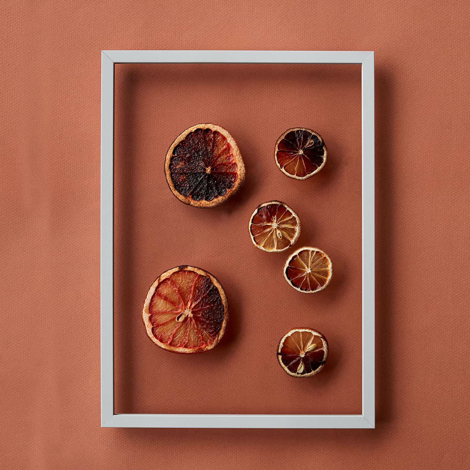 Floating Leaves / moeve + Paper Collective + Norm