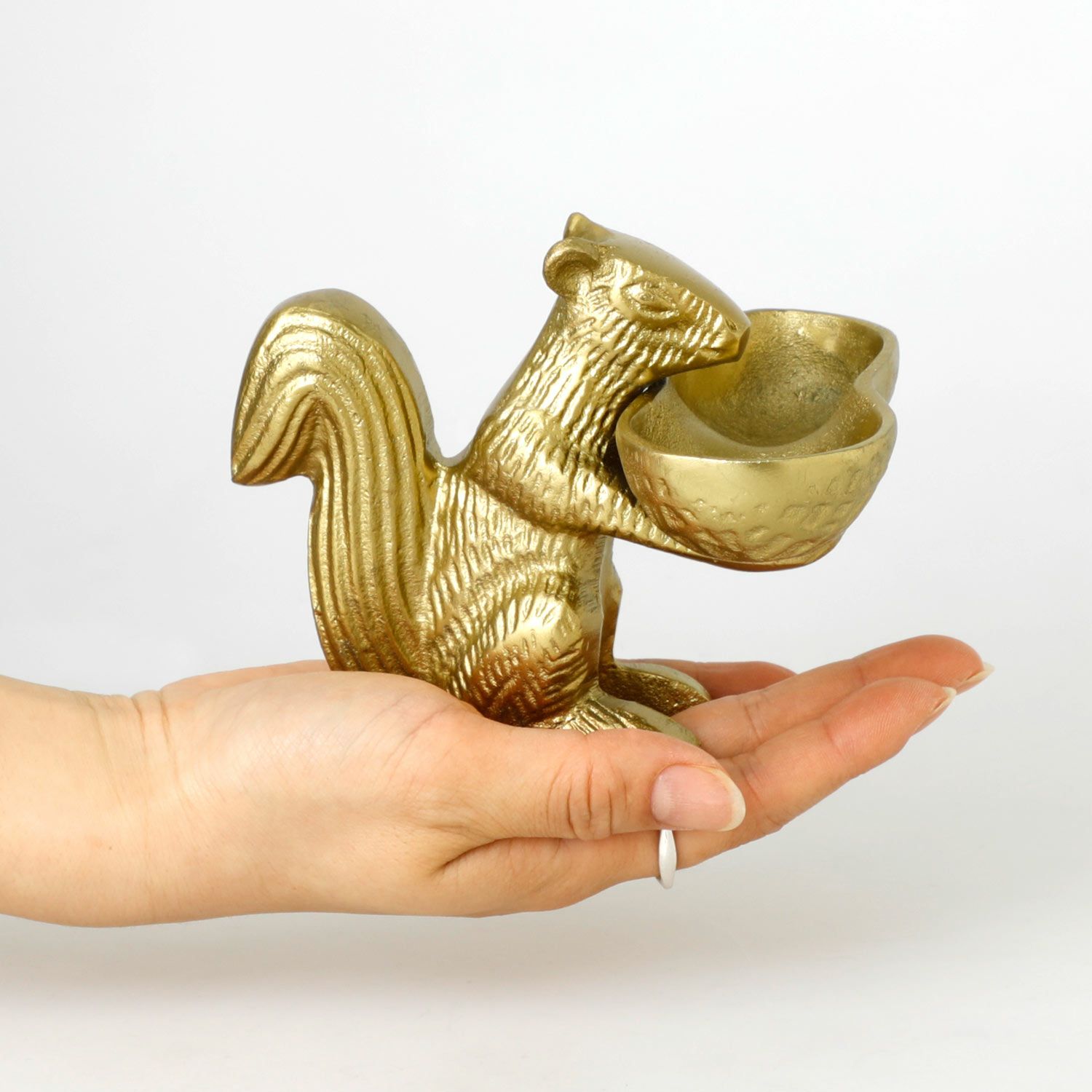 HERE by DETAIL | Squirrel & Nuts | HIGHTIDE（ハイタイド）公式サイト