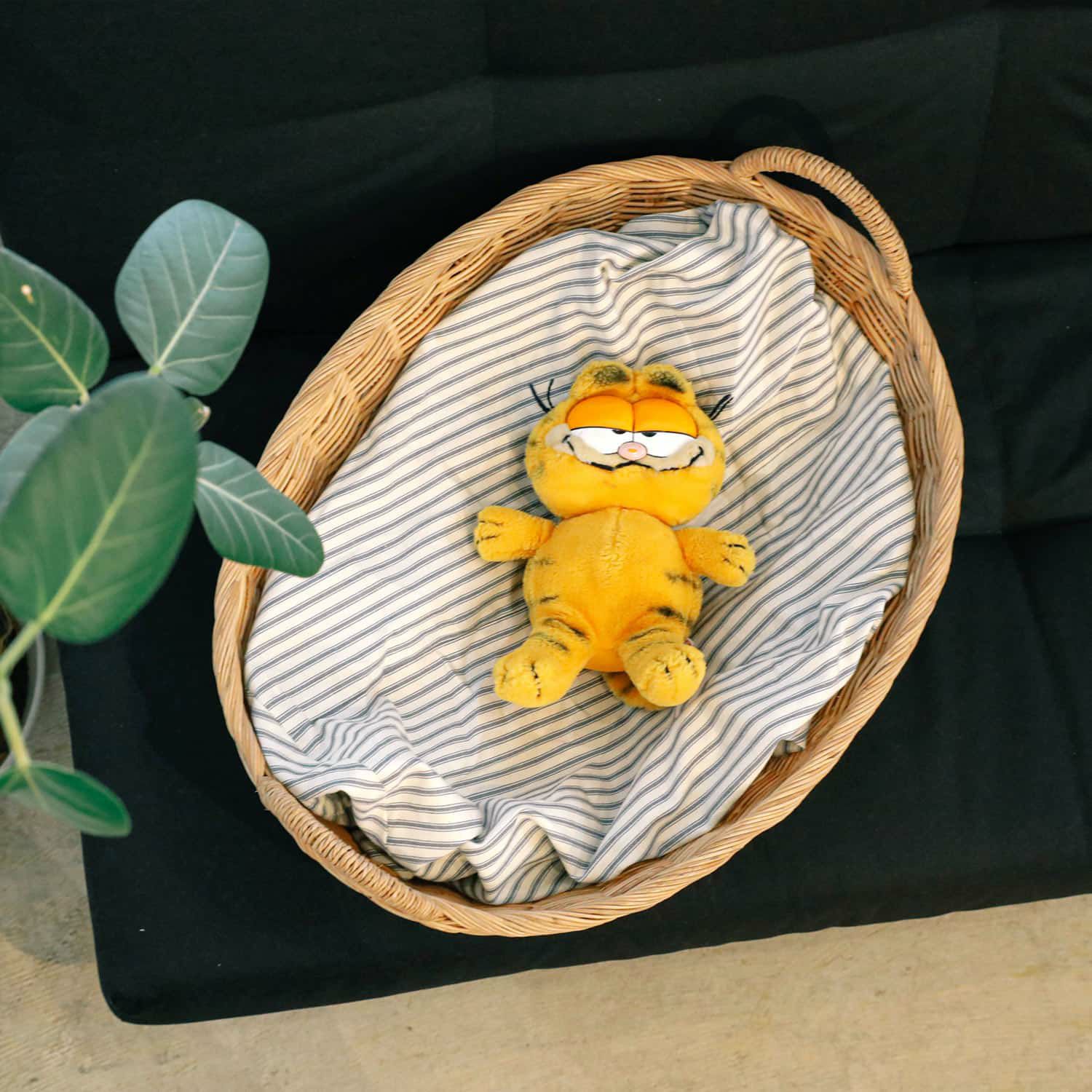 にゃん☆プロフ必読様専用‼️ ラタン ホワイト カゴ 蓋つき