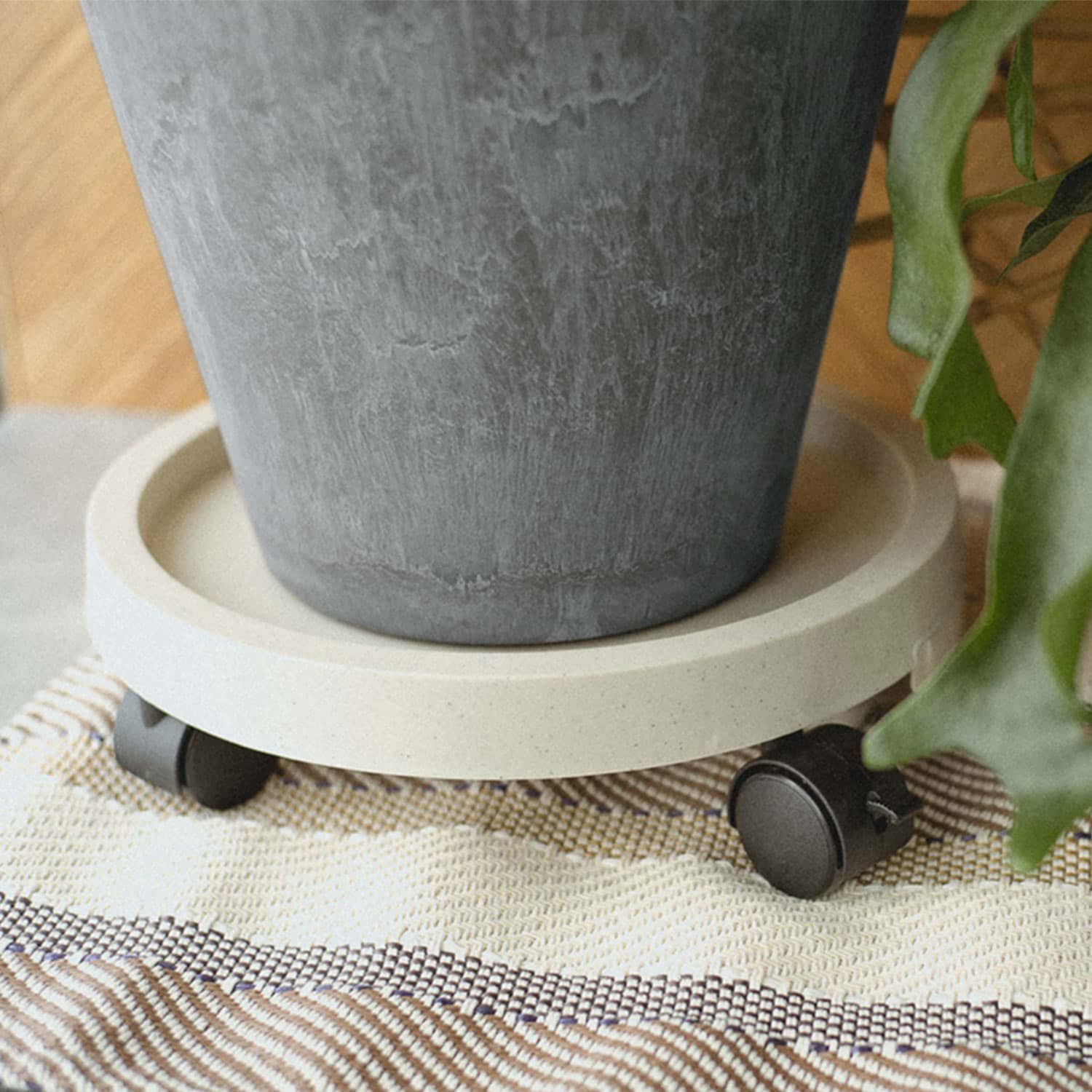 000000009113-01-xxl.jpg?t=