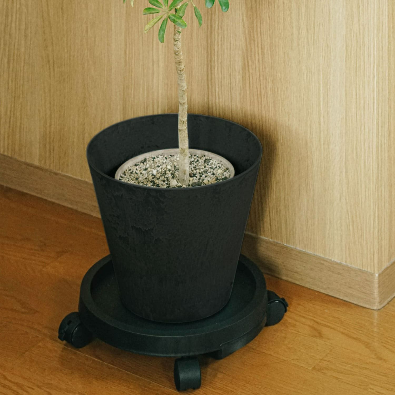 amabro アマブロ | PLANTS TRAY プランツトレイ | HIGHTIDE