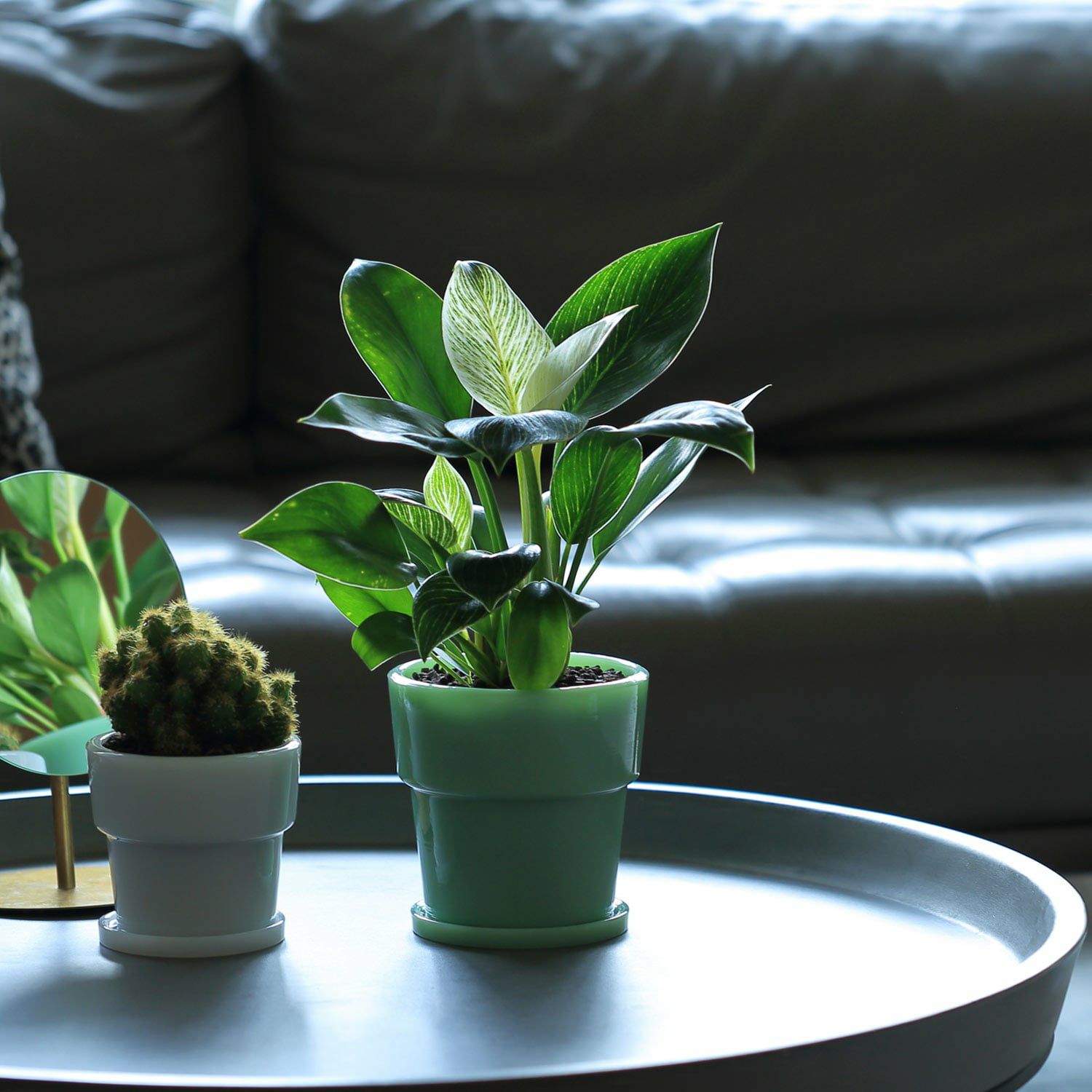 000000010367-16-xxl.jpg?t=