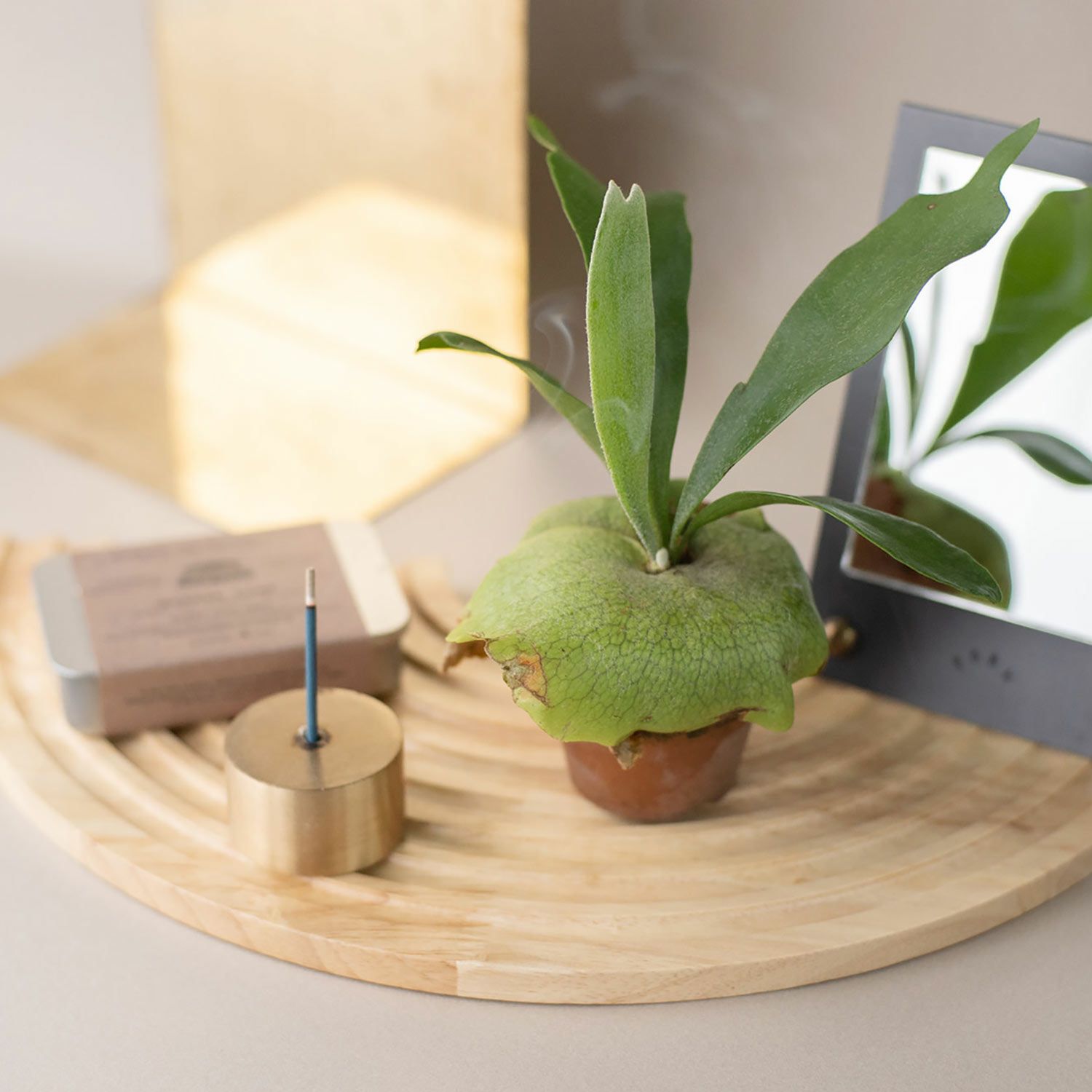 YohjiYamamoto 25ssノベルティ Wood Tray/ウッドトレイ YohjiYamamoto 25ssノベルティ Wood Tray/ウッドトレイ - メルカリ