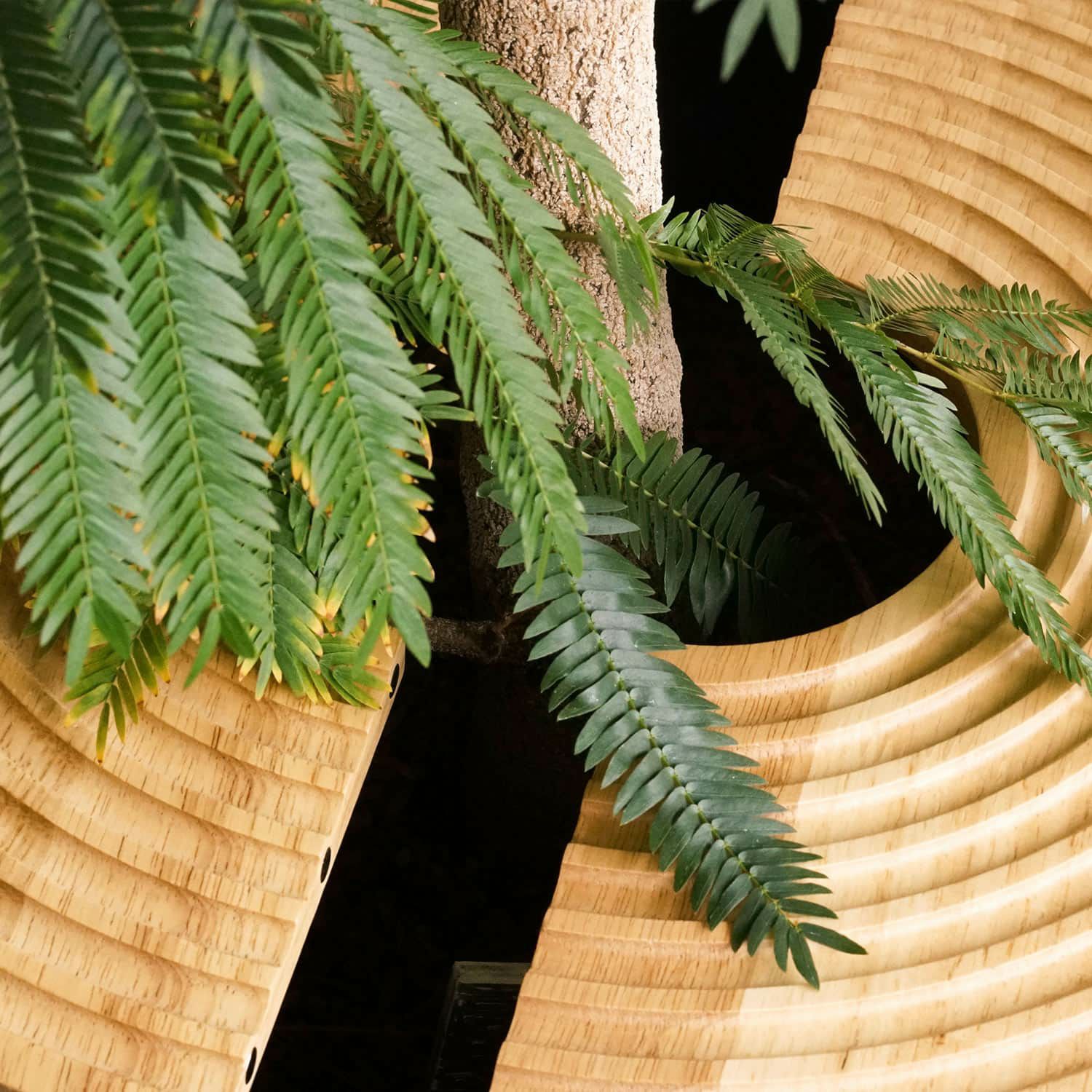 amabro アマブロ | WOOD CIRCLE TRAY ウッドサークルトレイ | HIGHTIDE