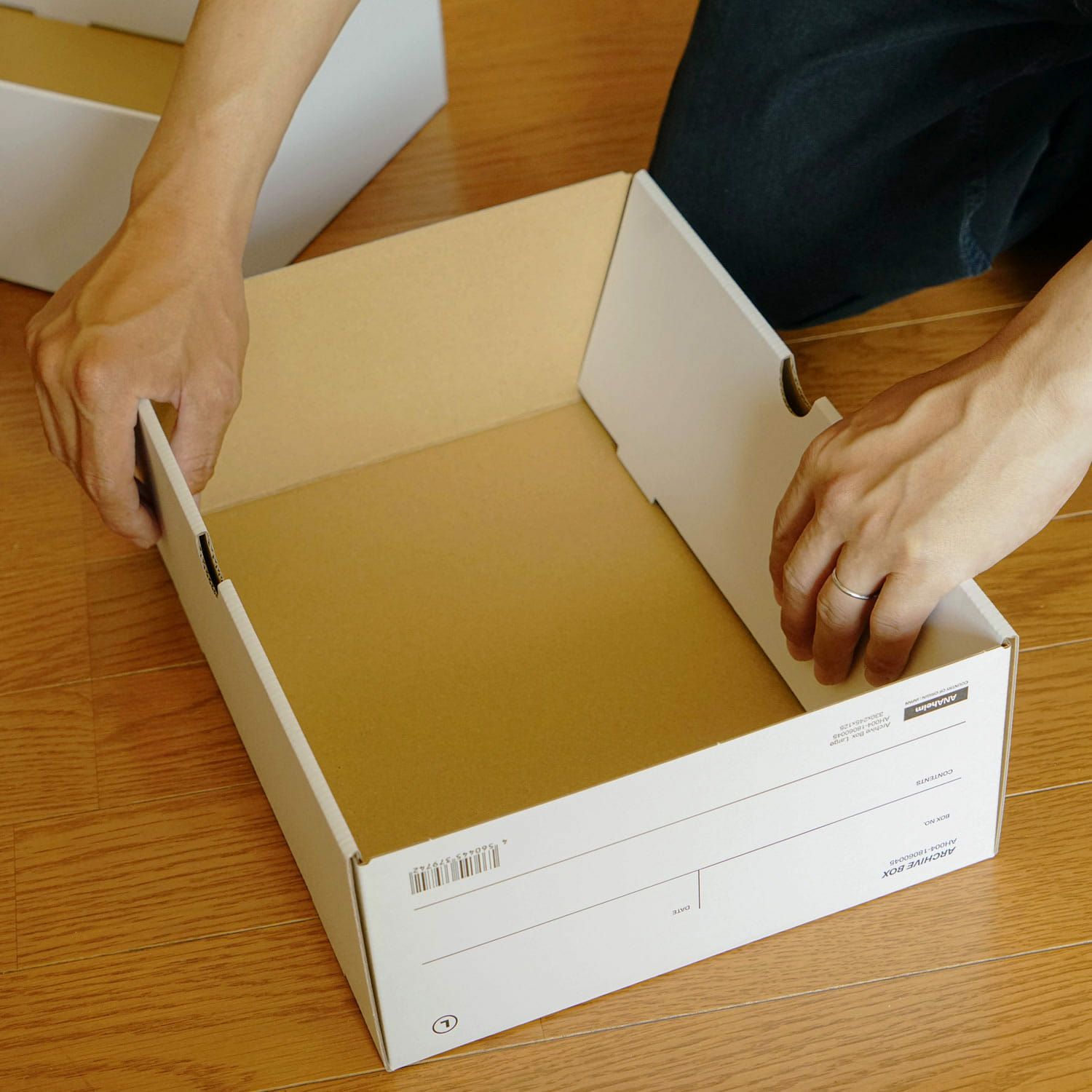 アナハイム アーカイブボックス （収納ボックス）(ボックス
